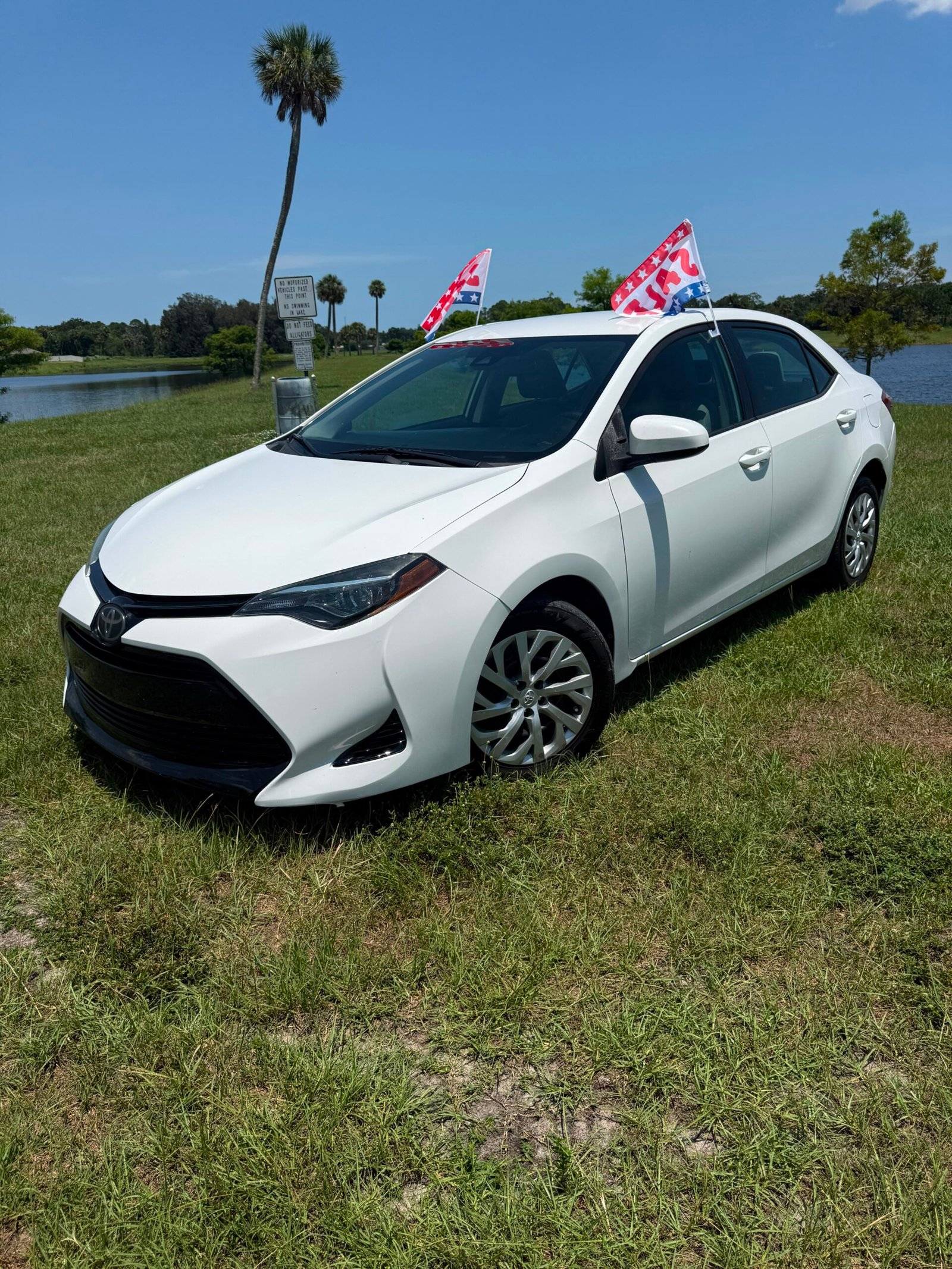 
								Toyota Corolla LE 2019 full									