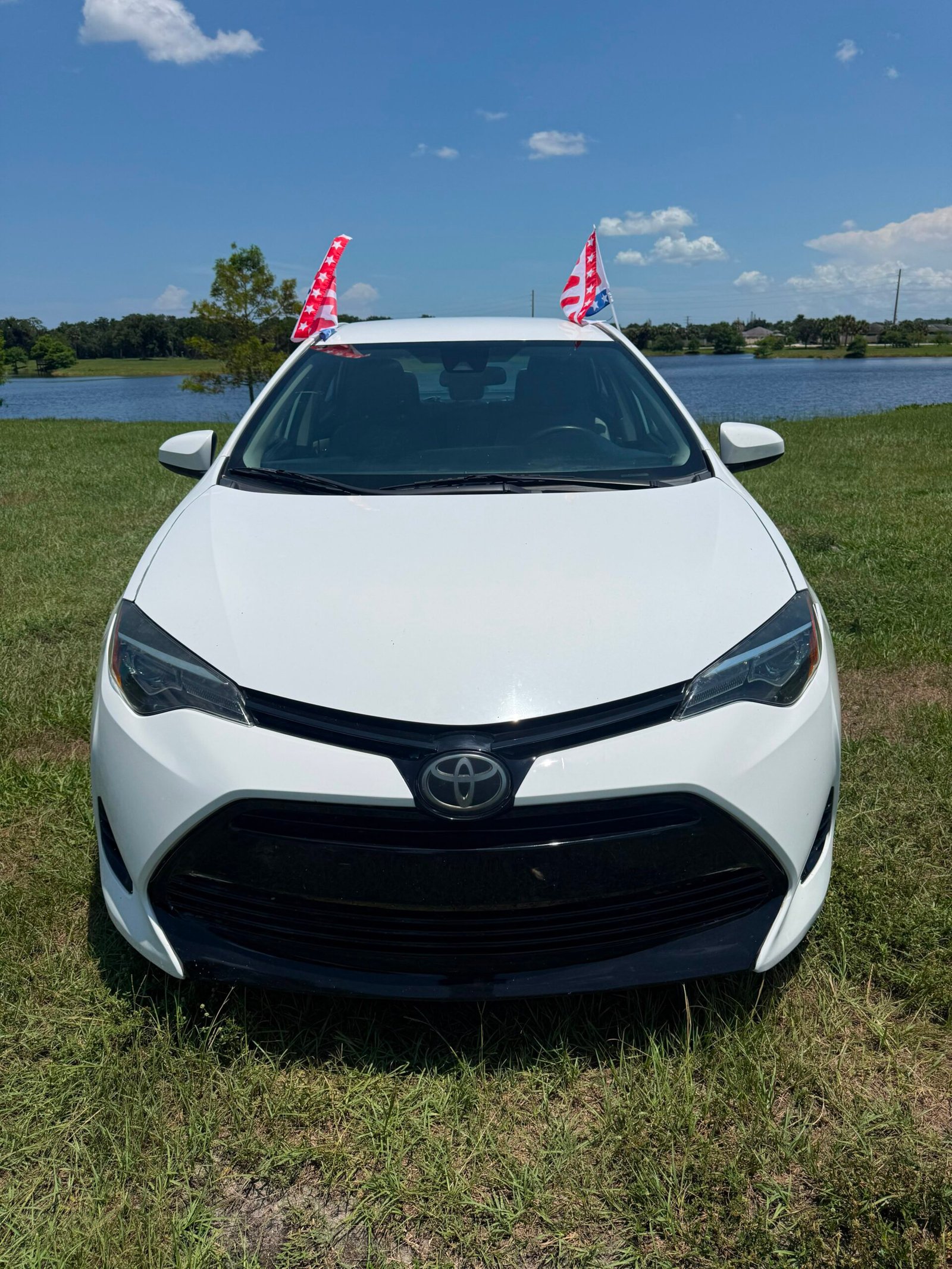 
								Toyota Corolla LE 2019 full									