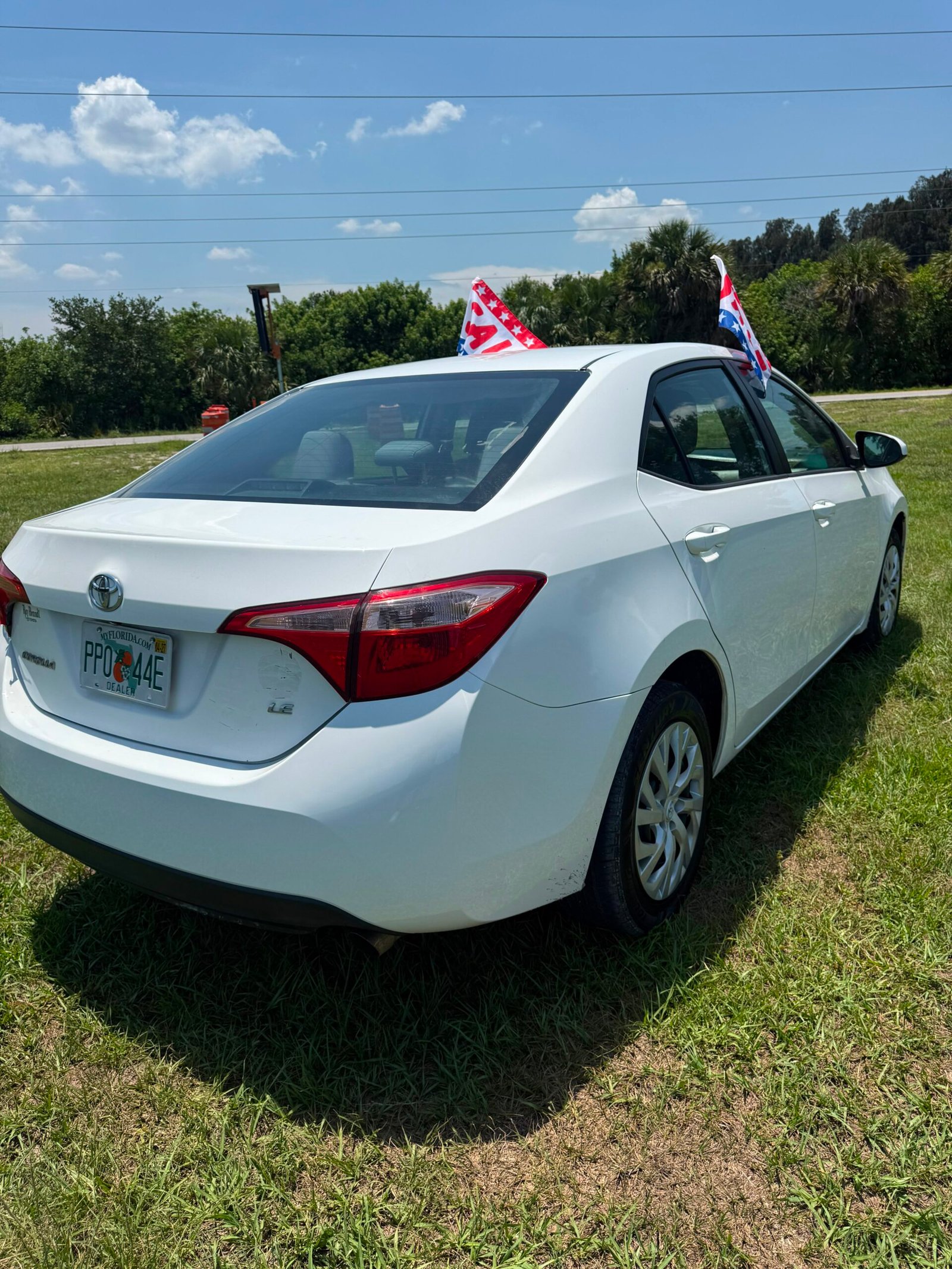 
								Toyota Corolla LE 2019 full									